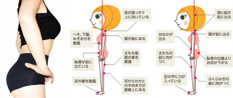 背骨の歪みチェック!