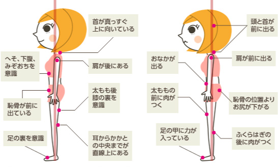 背骨の歪みチェック!