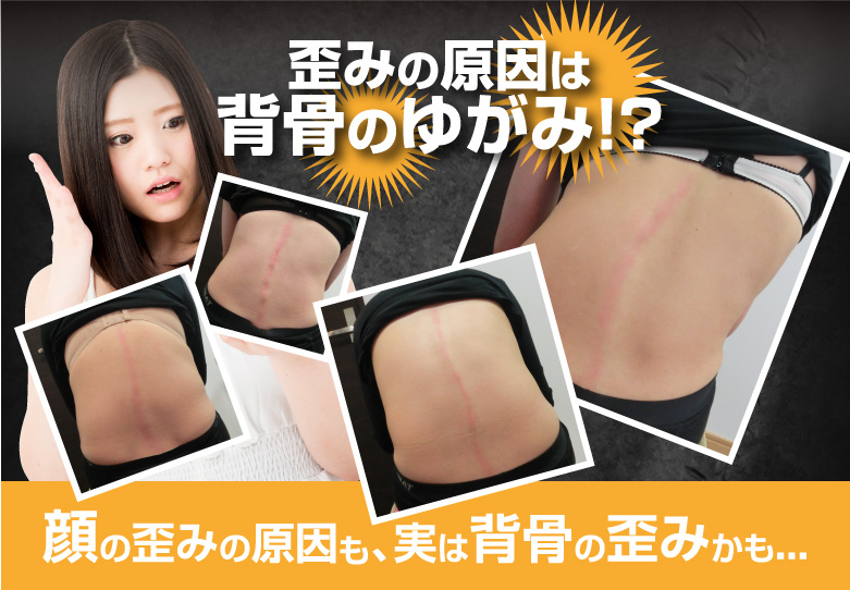 �c�݂̌����͔w���̂䂪��!?