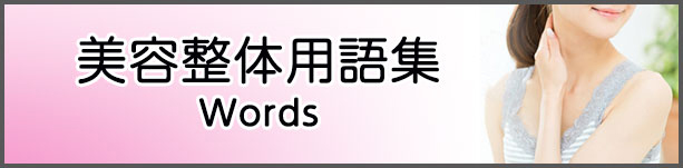 美容整体用語集