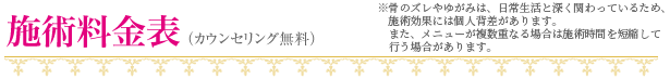 Body Style(�{�f�B�X�^�C��)�{�p�����\