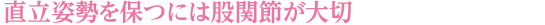 直立姿勢を保つには股関節が大切