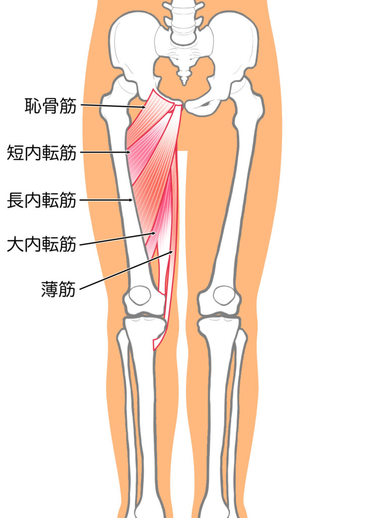 o脚 治し方 